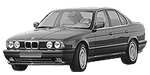 BMW E34 P0A95 Fault Code