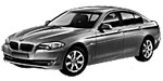 BMW F10 P0A95 Fault Code